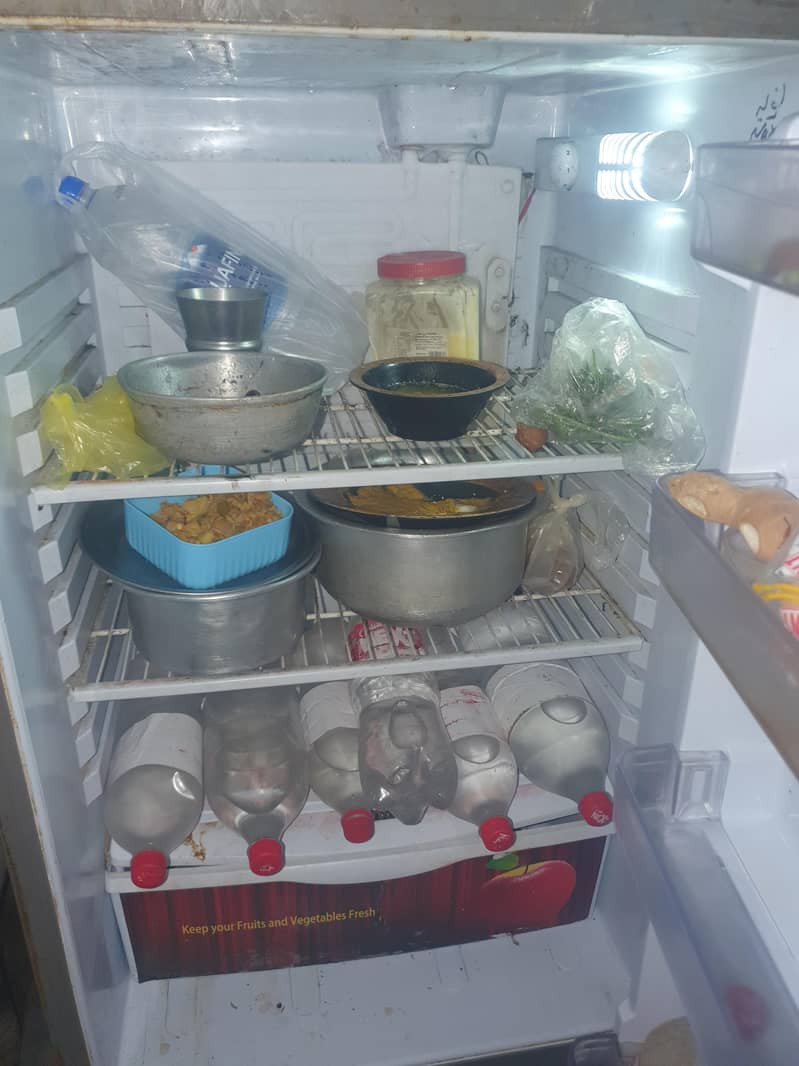PEL FRIDGE 1