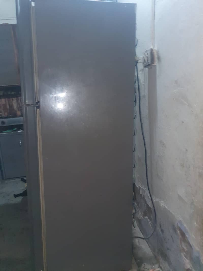 PEL FRIDGE 4