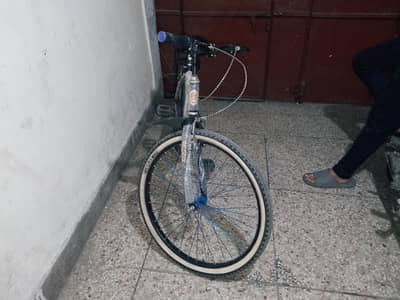 PHOENIX BICYCLE NEW 20% OFF
