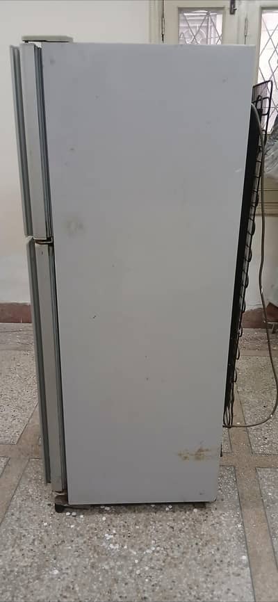 medium size fridge