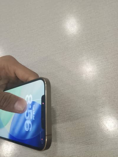 iphone 12 pro max in display just one line