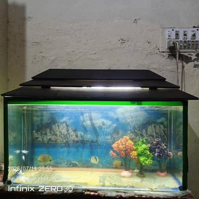 aquarium