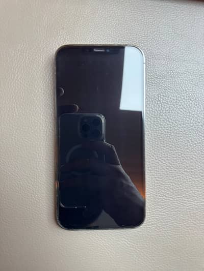 Apple iPhone 12 Pro Max
