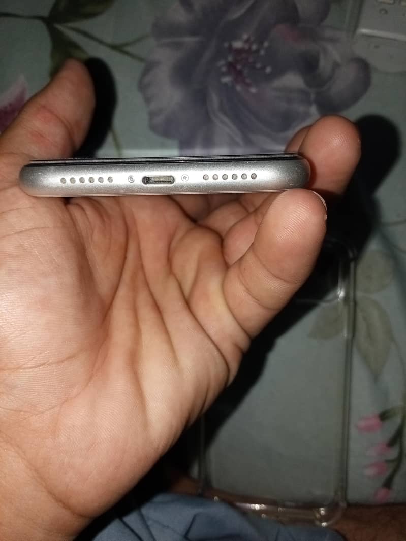 Apple iPhone 11 3