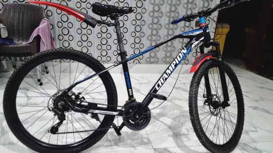 phonix Mountain bicycle
