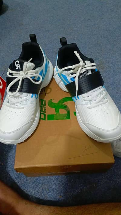 cricket spikes