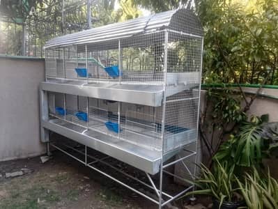 Cages for Sale in Islamabad