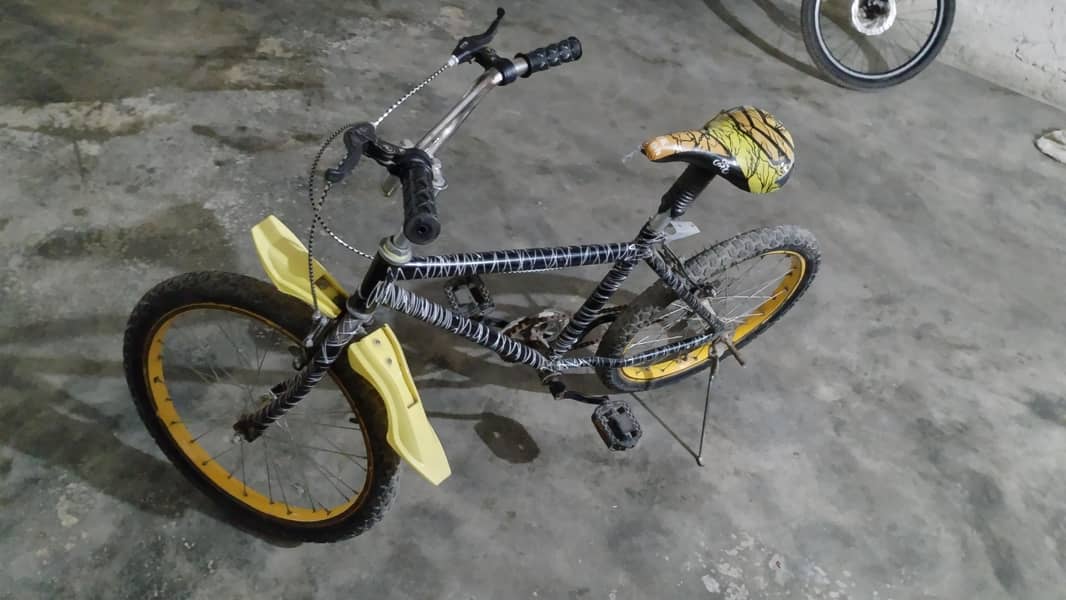 bicycle 1
