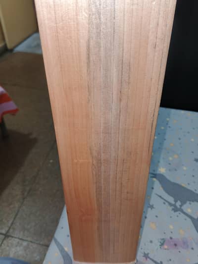 ENGLISH WILLOW CRICKET BAT