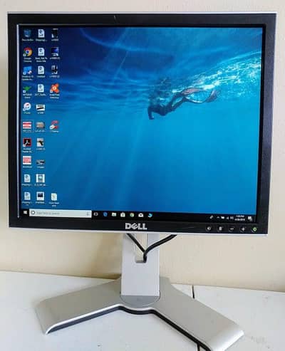 Dell 17 inch LED Monitor