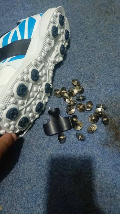 cricket spikes