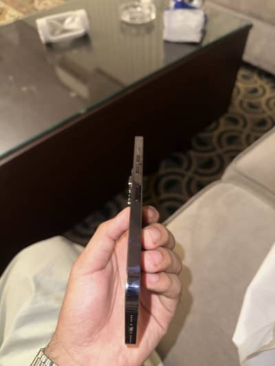 Apple iPhone 14 Pro Max (dual physical)
