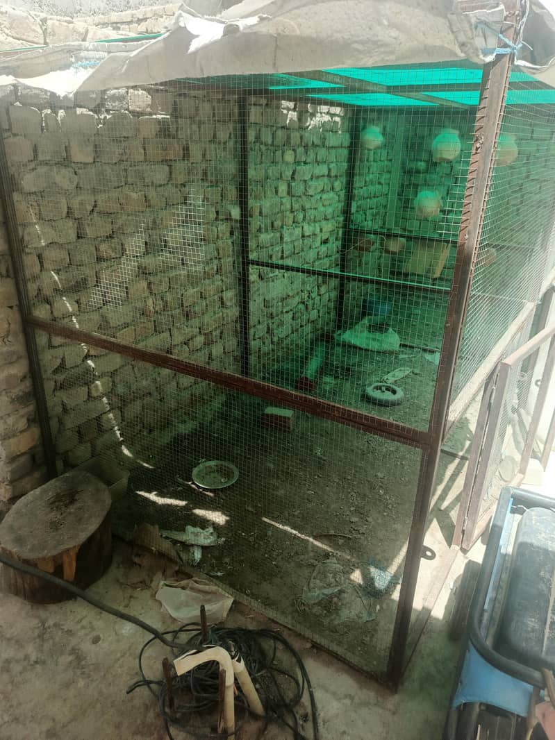 cages  large 2 0