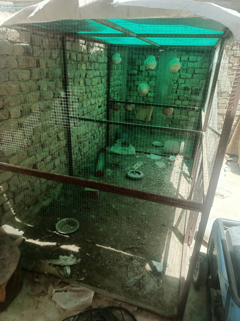 cages  large 2 1