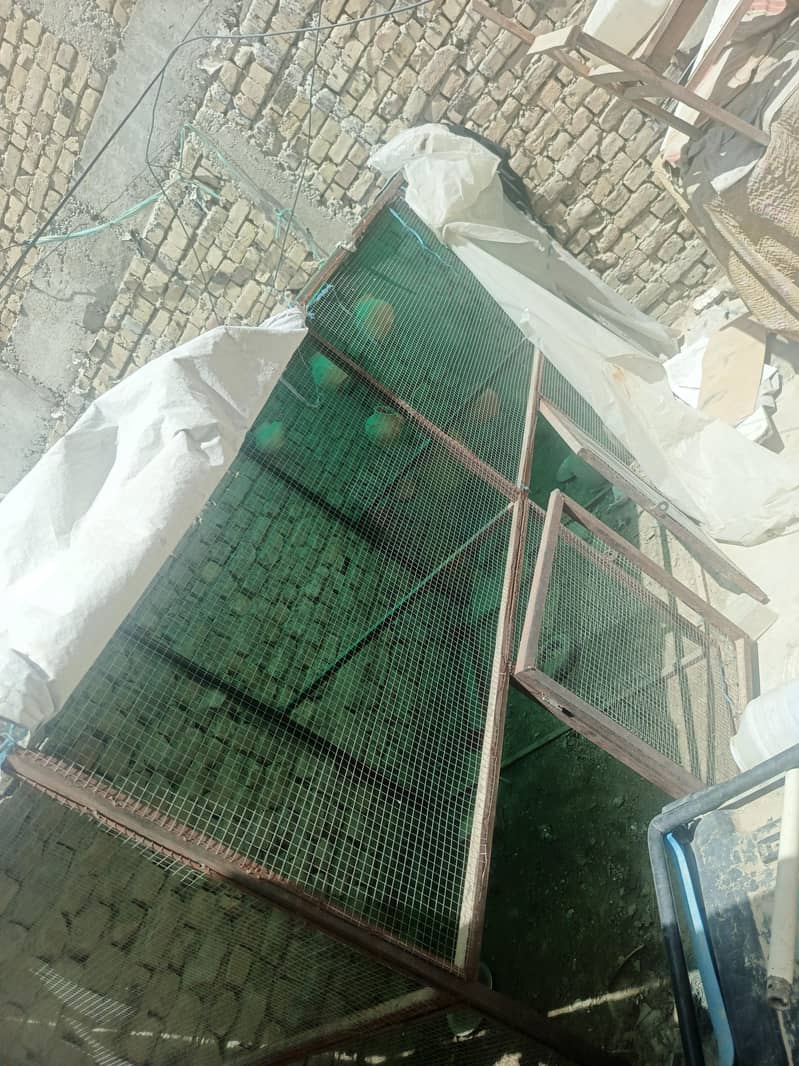 cages  large 2 2