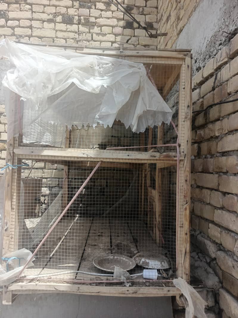 cages  large 2 3