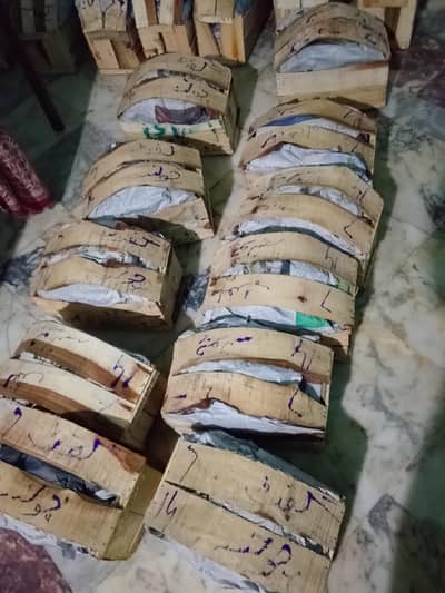 Mango 10kg white chaunsa best condition