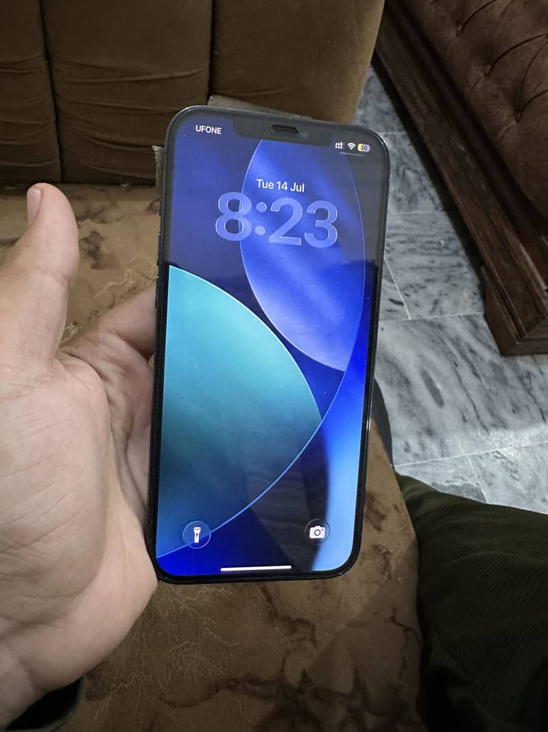 Apple iPhone 12 Pro Max 0