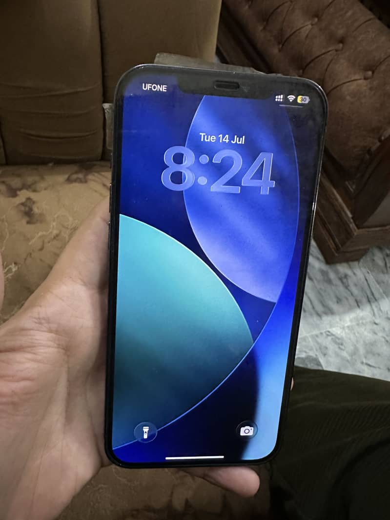 Apple iPhone 12 Pro Max 1