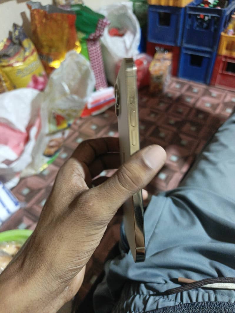 Apple iPhone 12 Pro Max 1