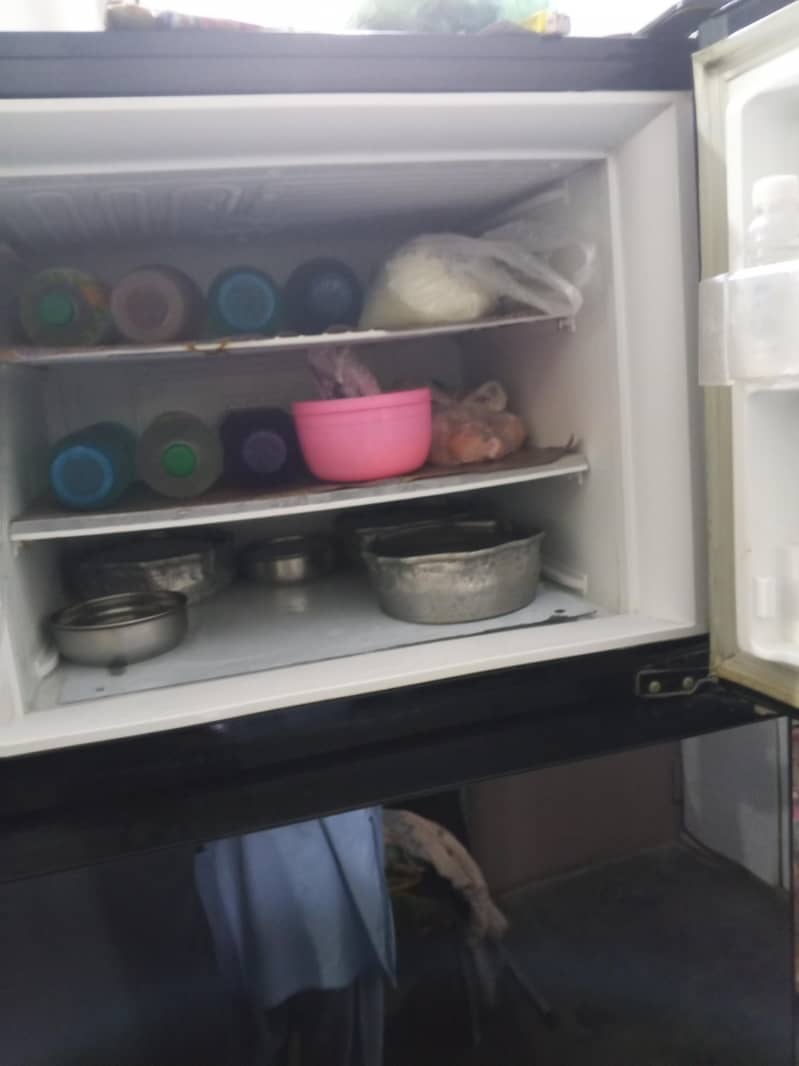 freezer 1