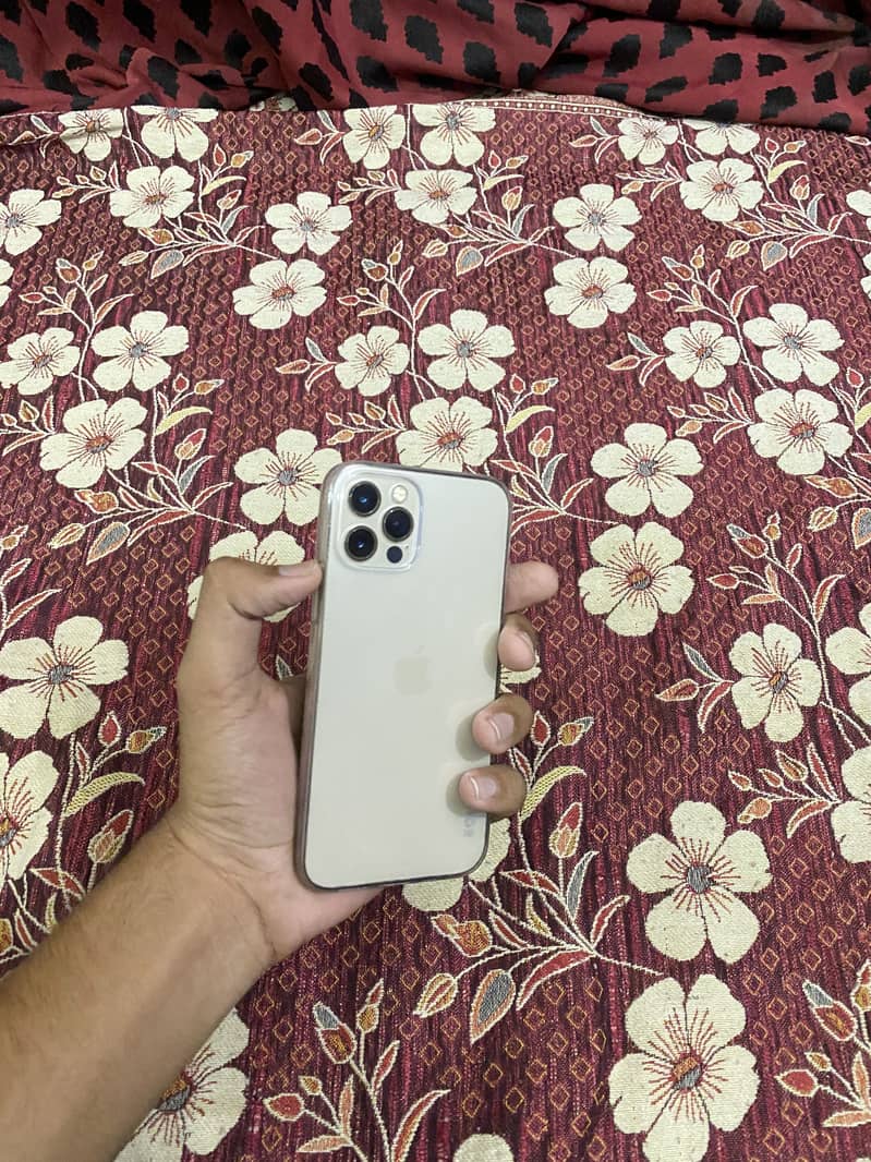 Apple iPhone 12 Pro 1