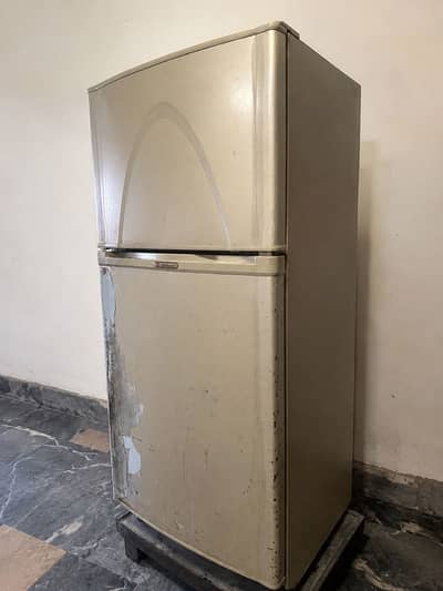 Jumbo size Refrigerators