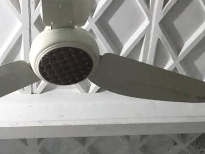 Indus ceiling fan AC DC