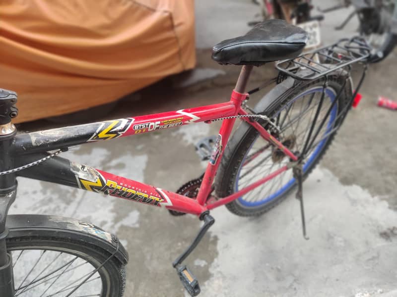 Cycle 4