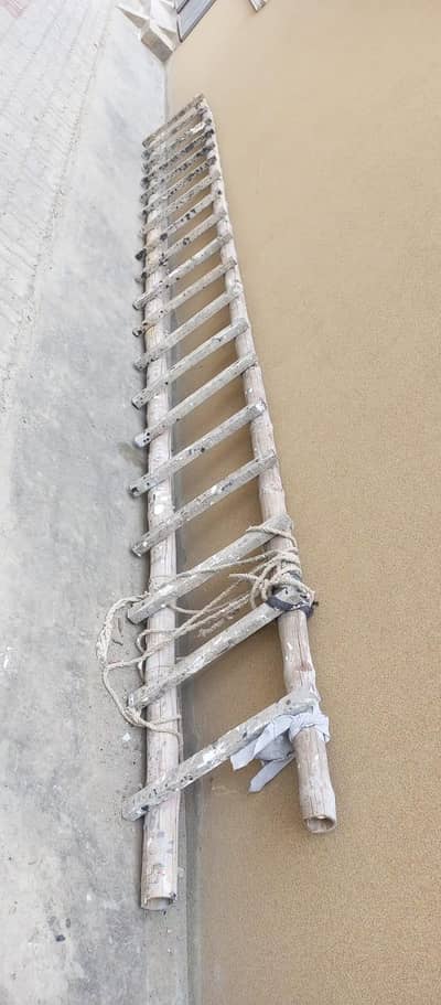 Ladders For Sale Long size
