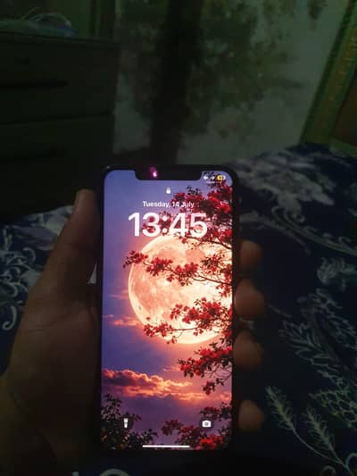 Apple iPhone XS Max