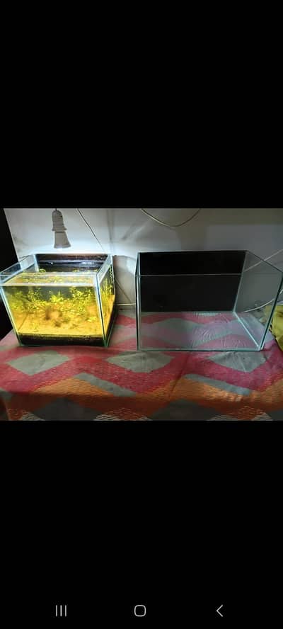Empty aquarium nd planted