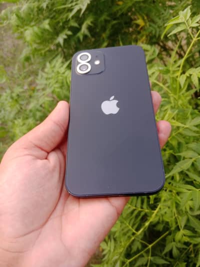 I phone 12 pack (pack) sim lock