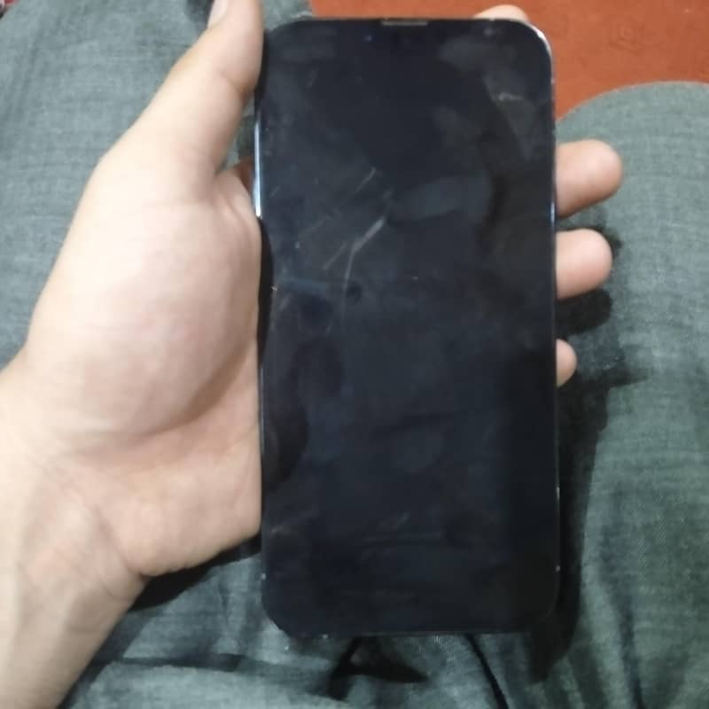 Apple iPhone 13 Pro Max 1