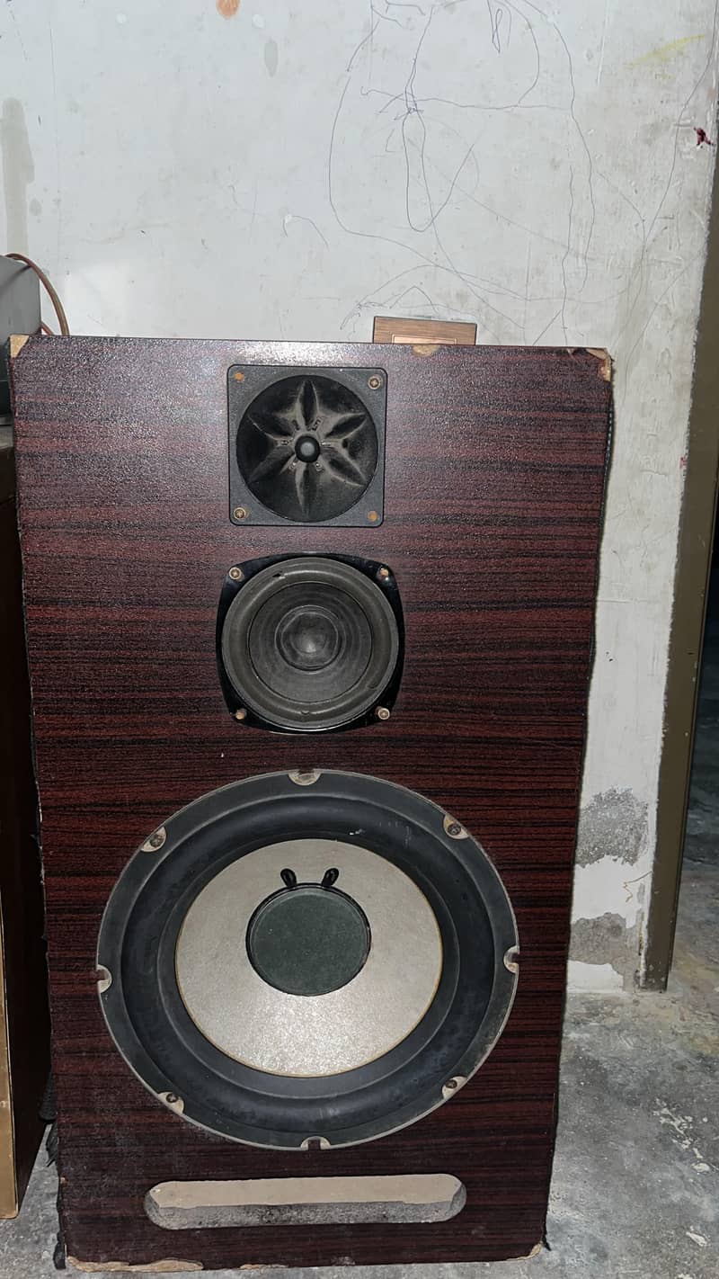 speaker 0