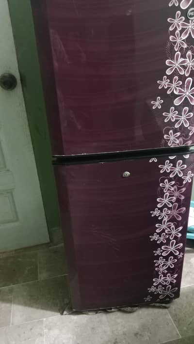 pel fridge