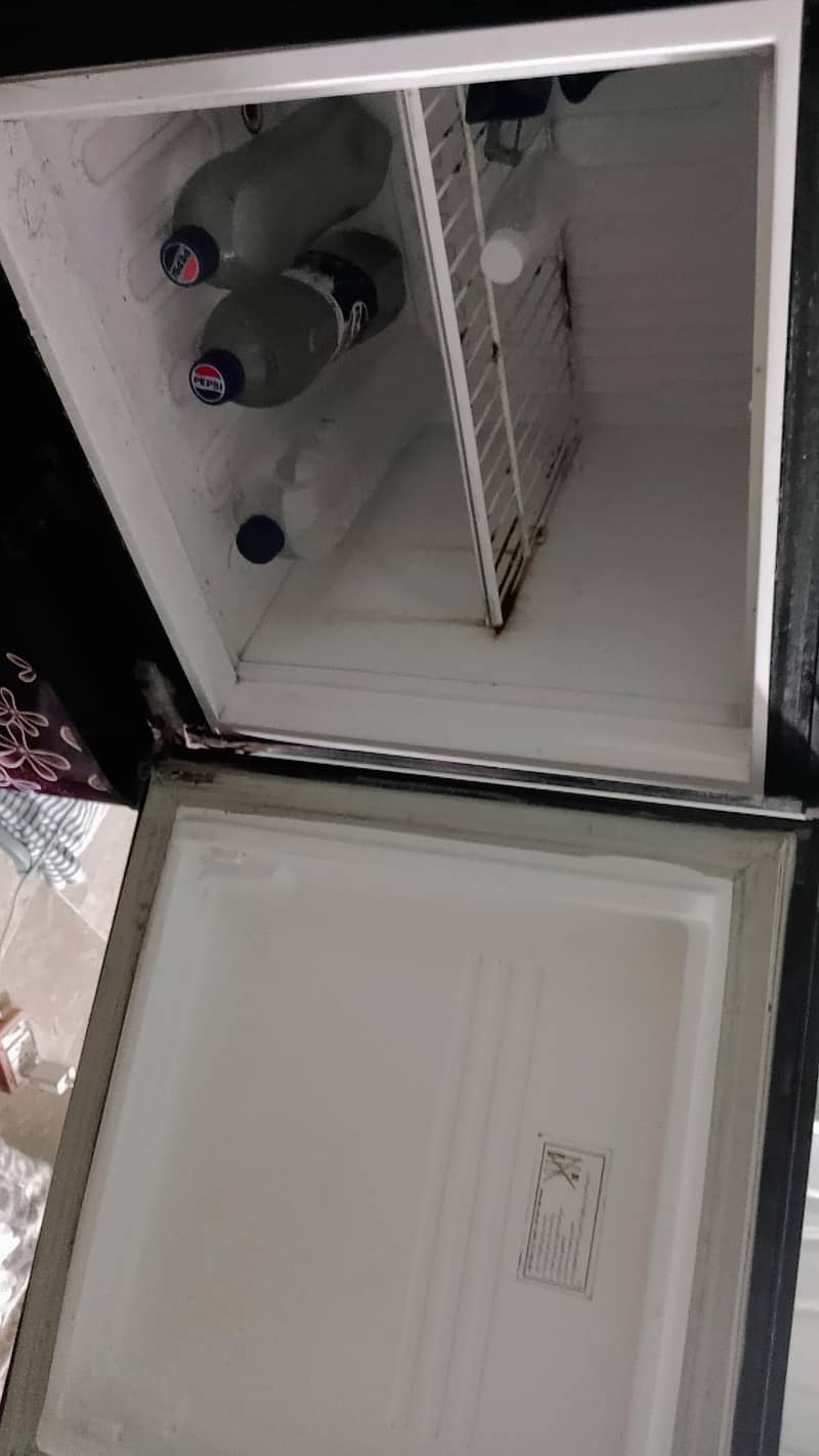 pel fridge 1