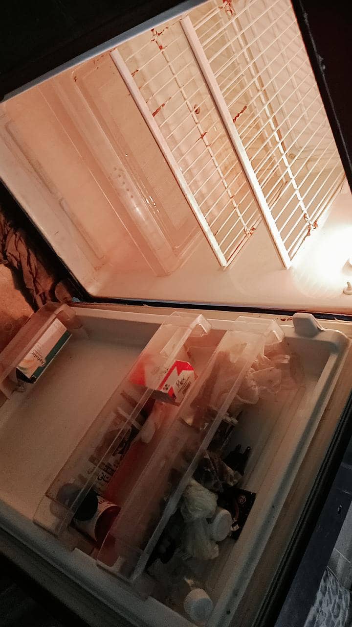 pel fridge 2