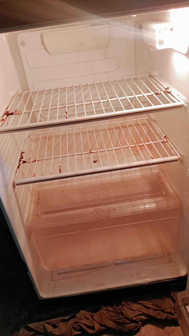 pel fridge 3