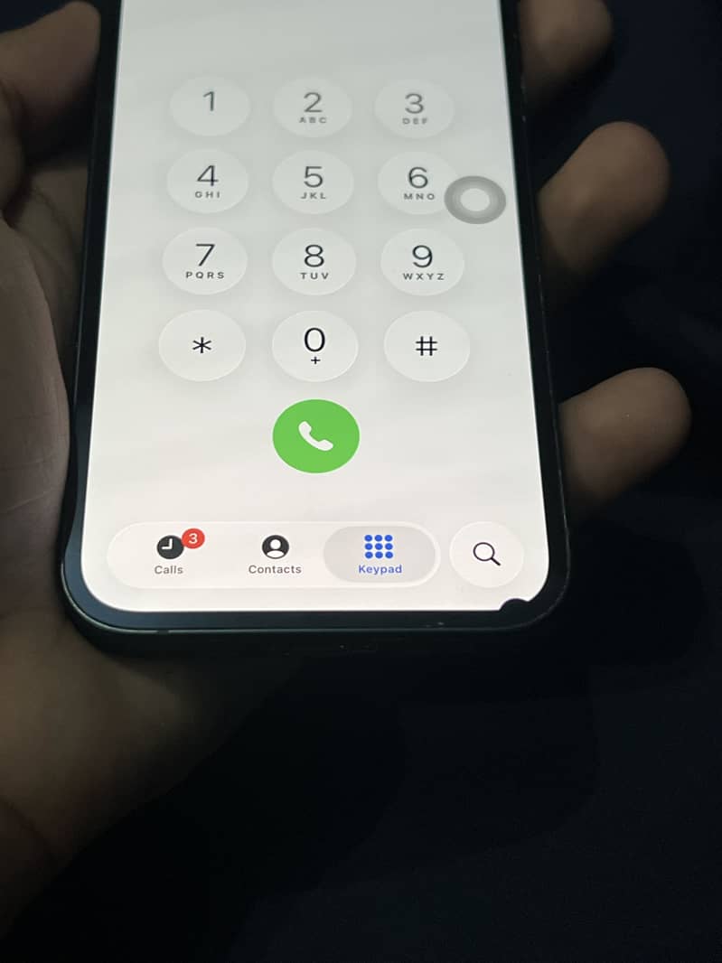 Apple iPhone 13 0