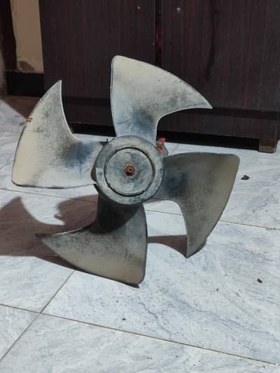 fan fan fan