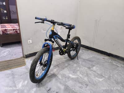 cyle in a good condition