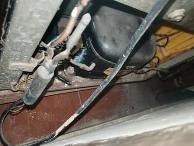 medium size freezer