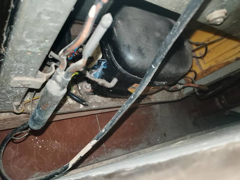 medium size freezer 1