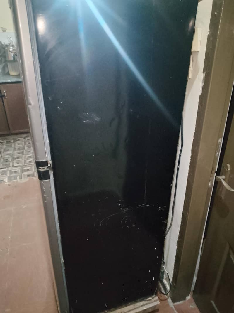 medium size freezer 3