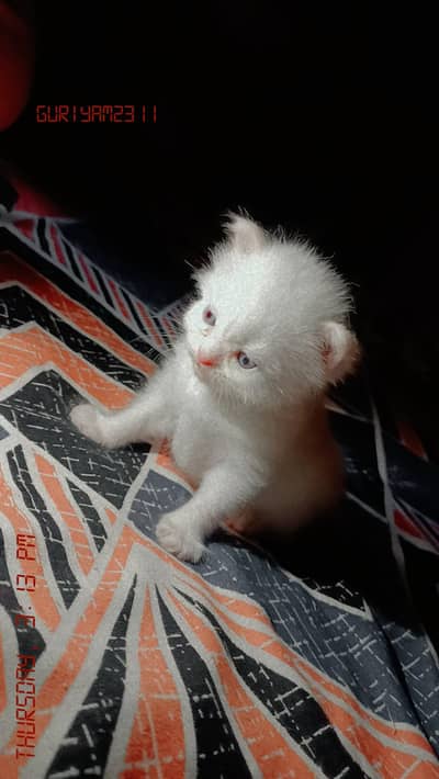 price just in 13k