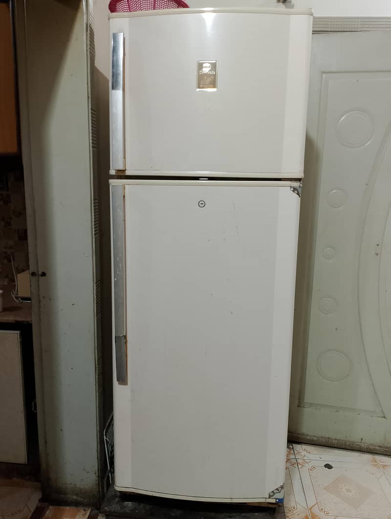 Fridge 1