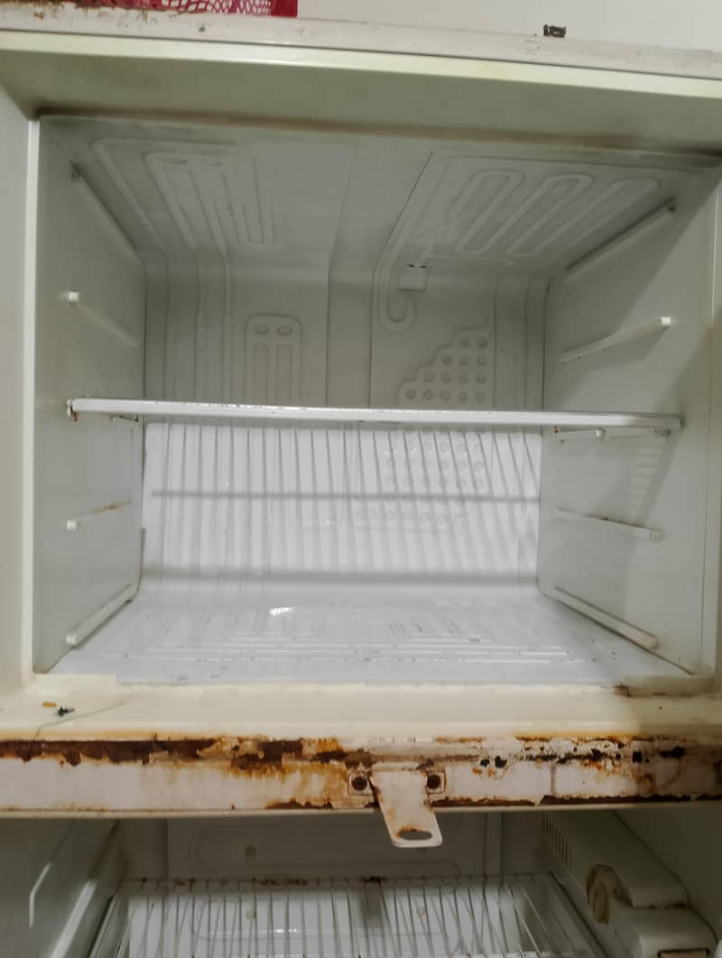 Fridge 3