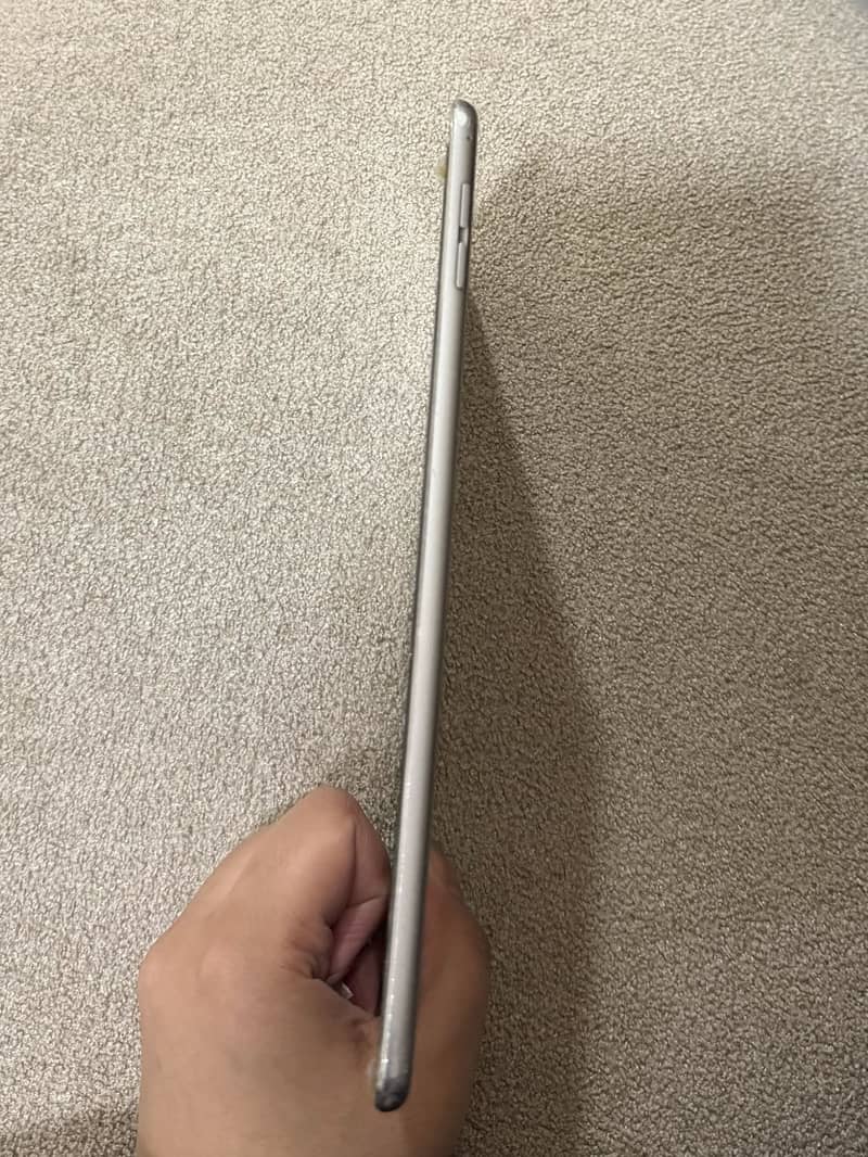 IPad Mini4 7