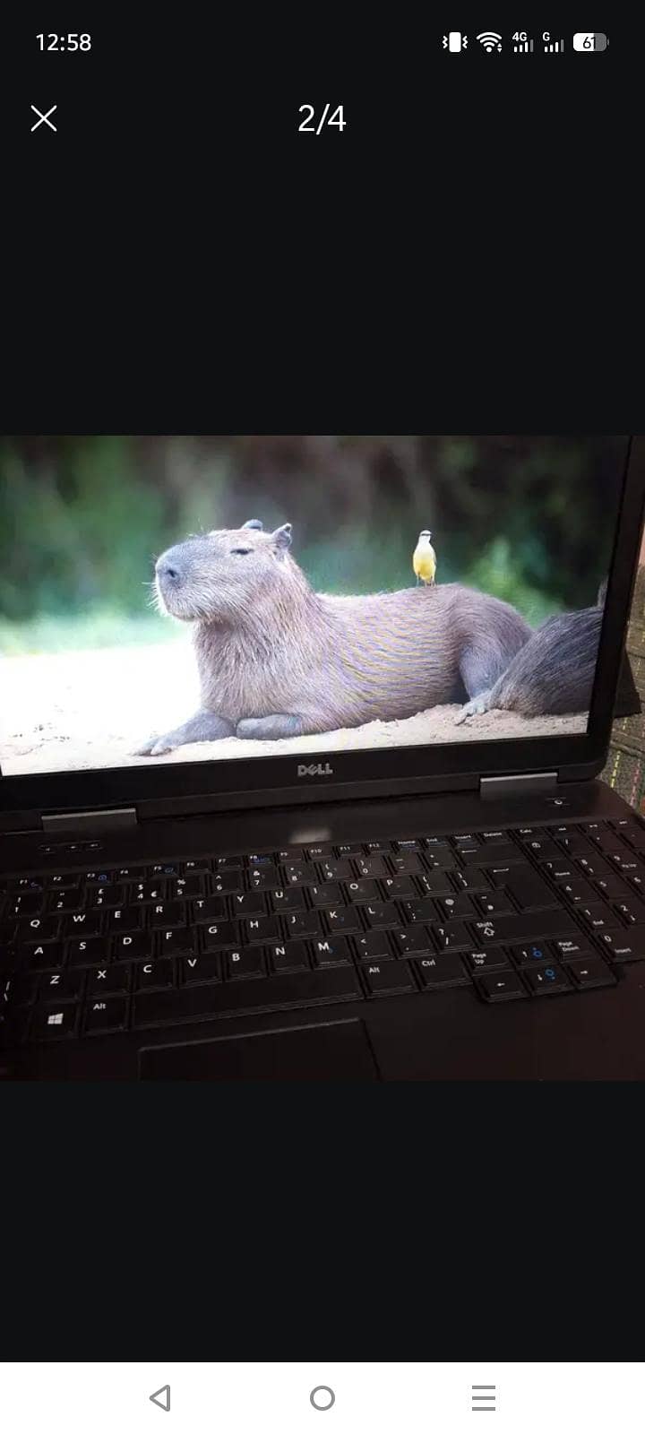 Dell laptop 1